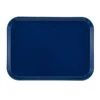 Camtray 12" X 16" Rectangle Amazon Blue