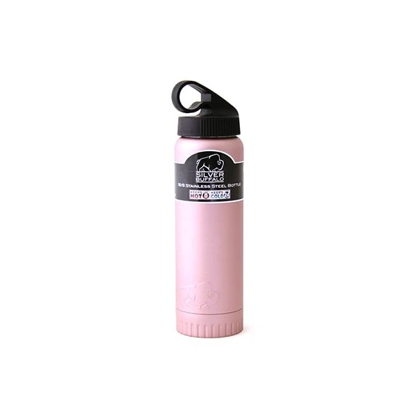 20Oz Pnk Ss Dbl Bottle
