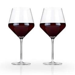 Raye Crystal Burgundy Glasses, Clear, 2PK