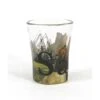 Americaware SGSLM01 Salem Full Color Etched Shot Glass