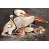 White Pelicans Fabric Placemat