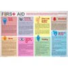 First Aid Placemat 4PK